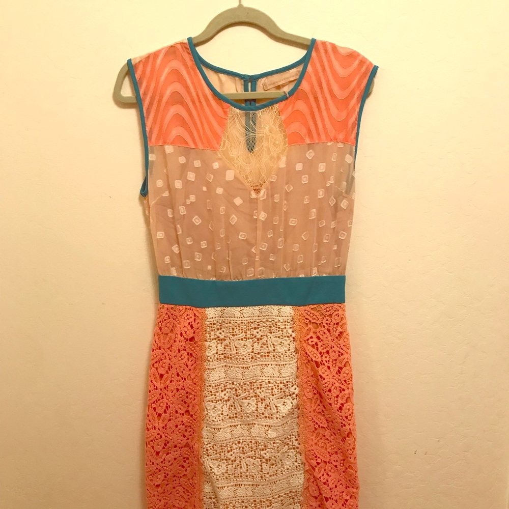 Anthropologie dress Champagne & Strawberries